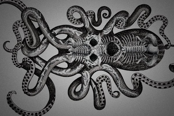 Кракен актуальная ссылка kraken torion net
