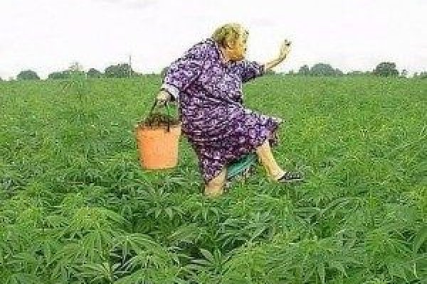 Логин и пароль от кракен
