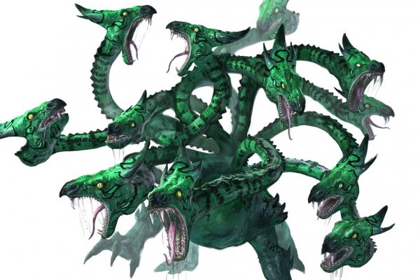 Kraken 24 at