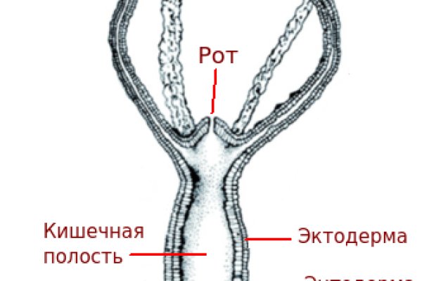 Реальные ссылки кракен