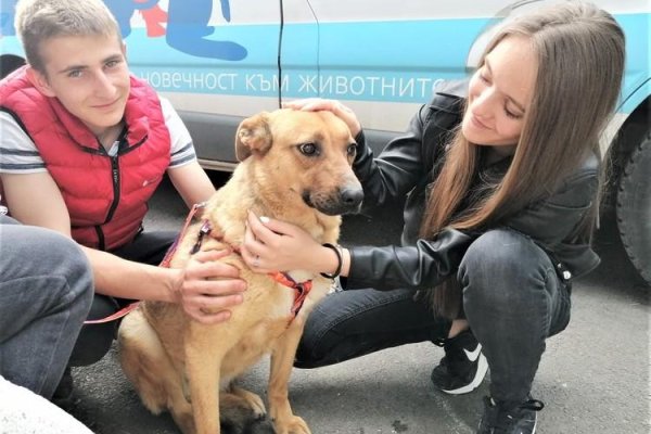 Блэкспрут зеркало кракен