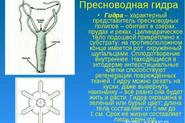 Кракен в россии наркотик