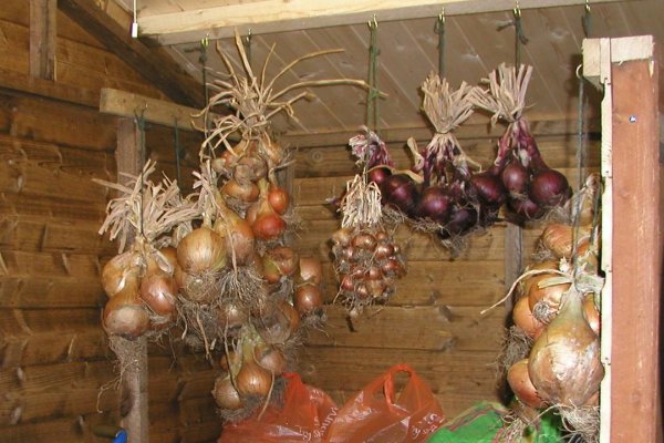 Как зарегистрироваться на кракене